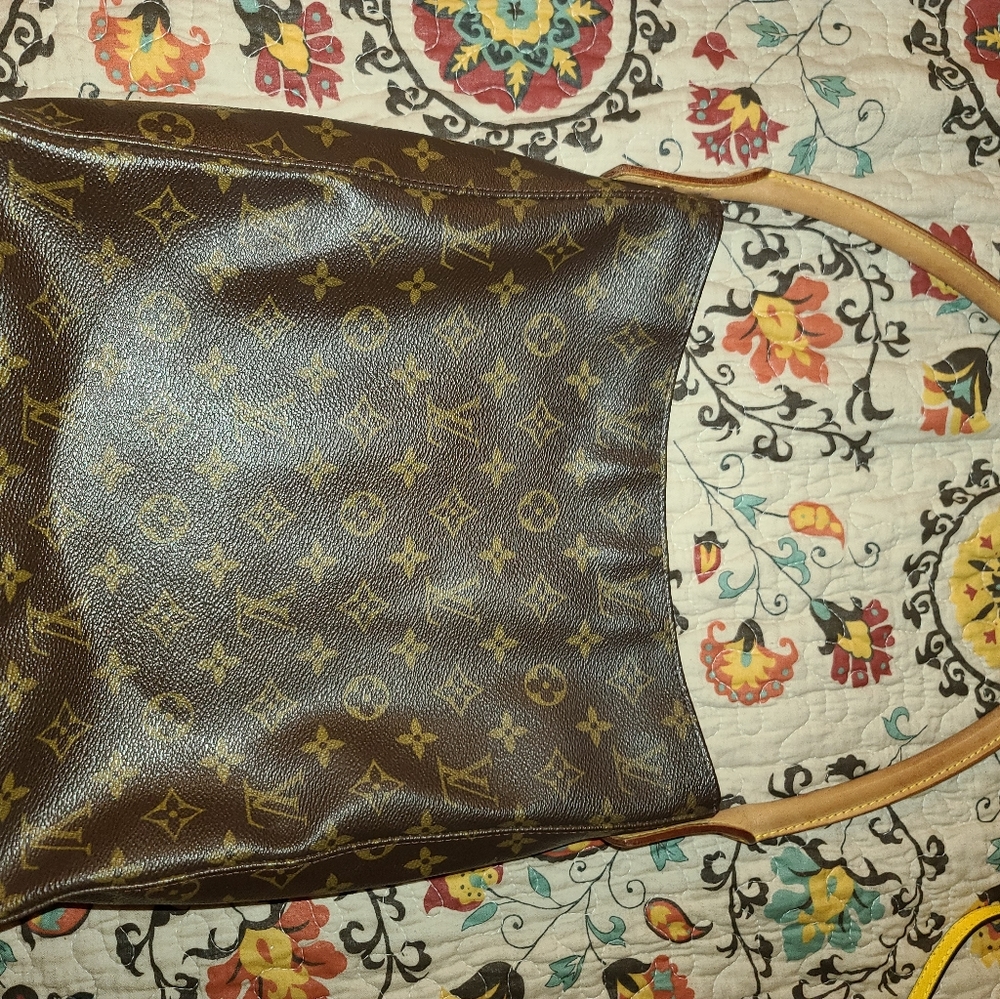 Louis Vitton Large Zipper Looping Shoulder bag